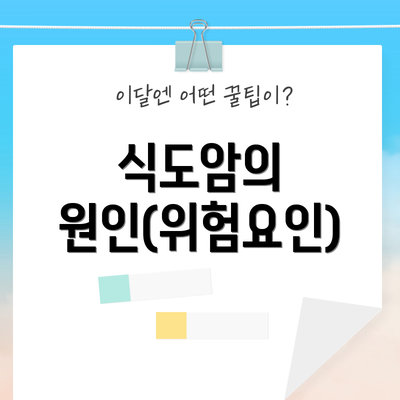 식도암의 원인(위험요인)