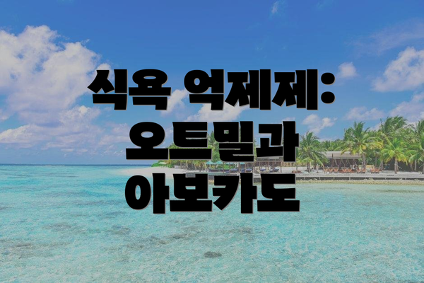 식욕 억제제: 오트밀과 아보카도