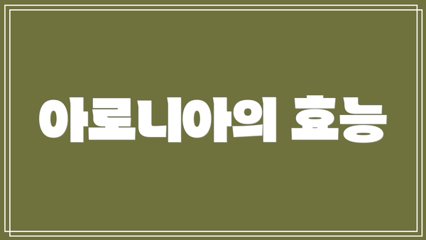 아로니아의 효능
