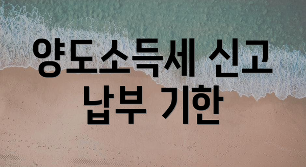 양도소득세 신고 납부 기한