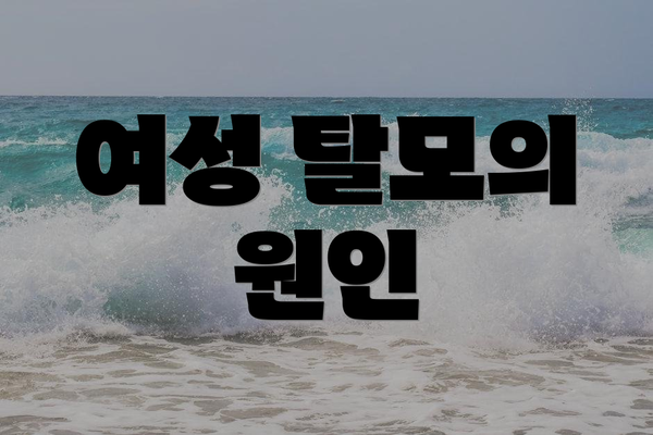 여성 탈모의 원인