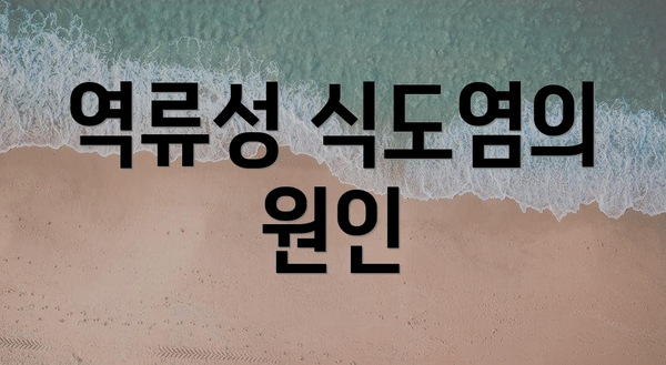 역류성 식도염의 원인