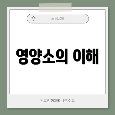 영양소의 이해