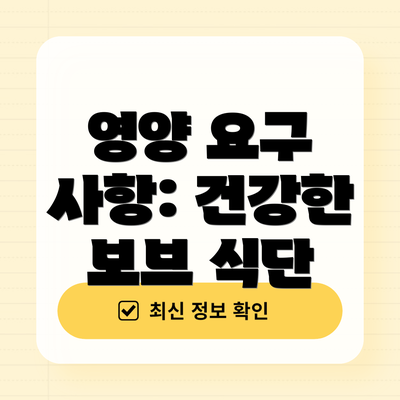 영양 요구 사항: 건강한 보브 식단
