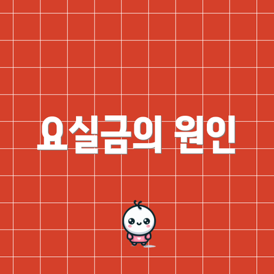 요실금의 원인