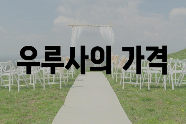 우루사의 가격