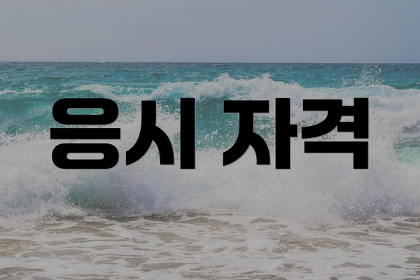 응시 자격
