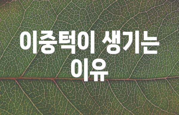 이중턱이 생기는 이유
