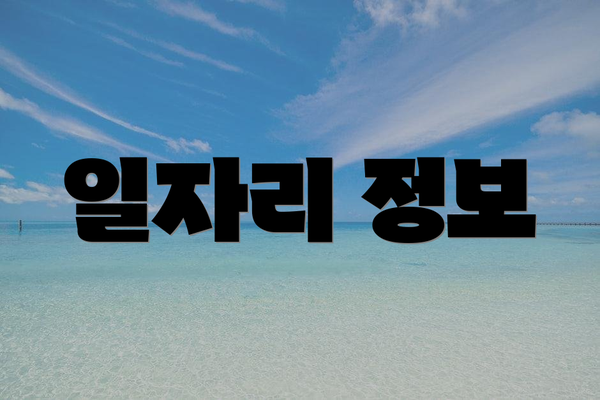 일자리 정보