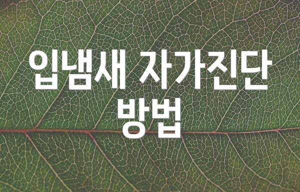 입냄새 자가진단 방법