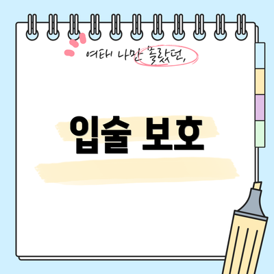 입술 보호