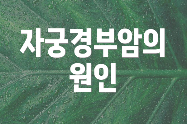 자궁경부암의 원인