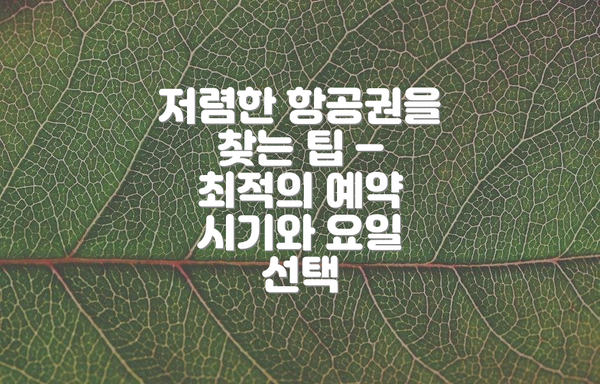 저렴한 항공권을 찾는 팁 – 최적의 예약 시기와 요일 선택