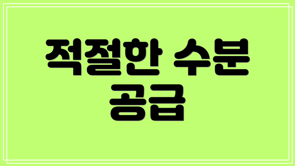 적절한 수분 공급