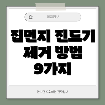 집먼지 진드기 제거 방법 9가지