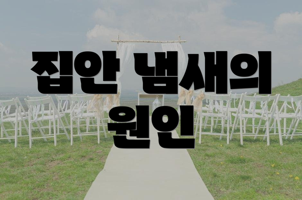 집안 냄새의 원인