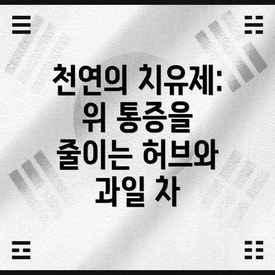 천연의 치유제: 위 통증을 줄이는 허브와 과일 차