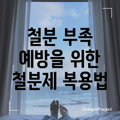 철분 부족 예방을 위한 철분제 복용법