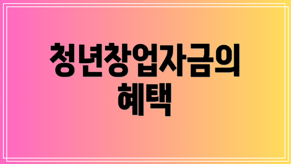 청년창업자금의 혜택