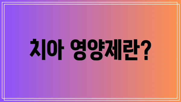 치아 영양제란?