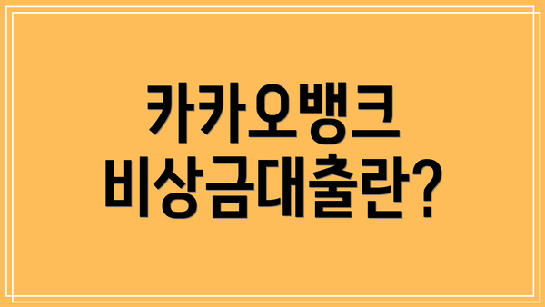 카카오뱅크 비상금대출란?