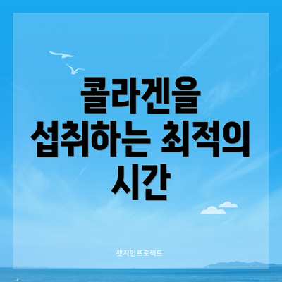 콜라겐을 섭취하는 최적의 시간