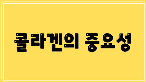 콜라겐의 중요성