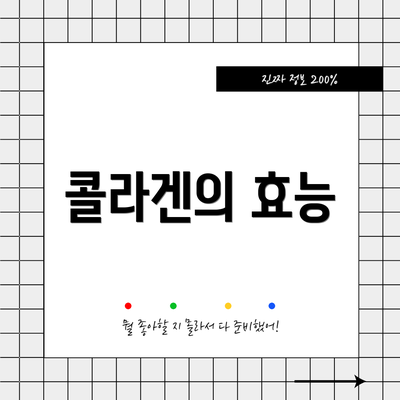 콜라겐의 효능