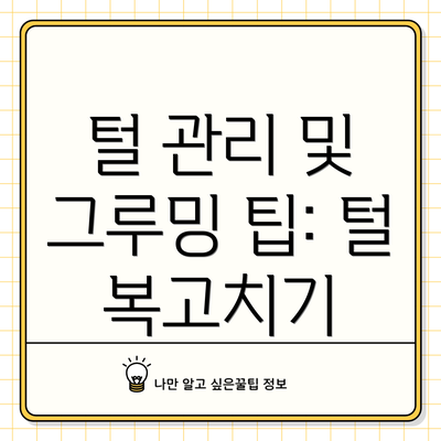 털 관리 및 그루밍 팁: 털 복고치기