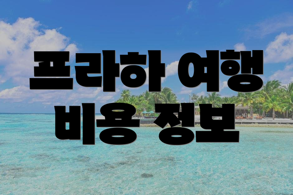 프라하 여행 비용 정보