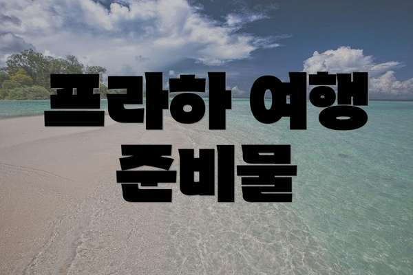 프라하 여행 준비물