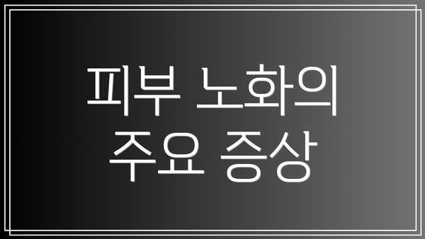 피부 노화의 주요 증상