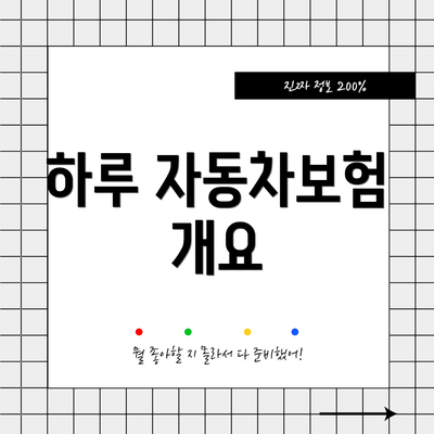하루 자동차보험 개요