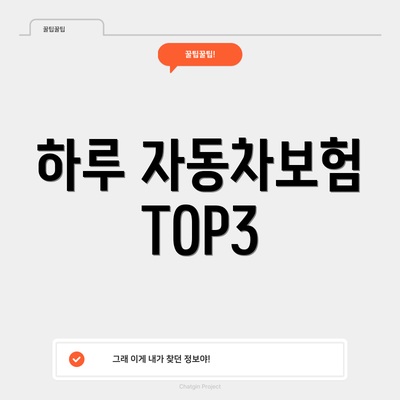 하루 자동차보험 TOP3