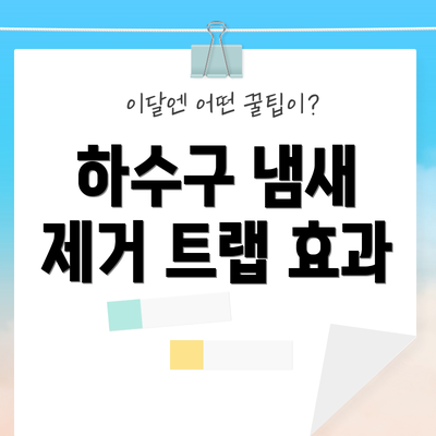 하수구 냄새 제거 트랩 효과