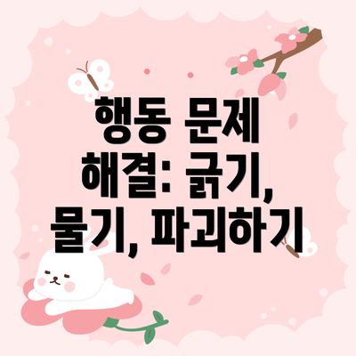행동 문제 해결: 긁기, 물기, 파괴하기