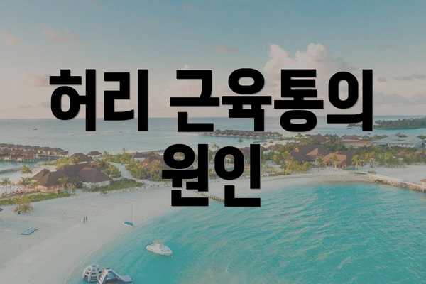 허리 근육통의 원인