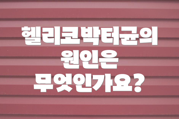 헬리코박터균의 원인은 무엇인가요?