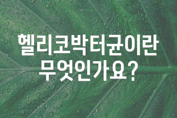 헬리코박터균이란 무엇인가요?