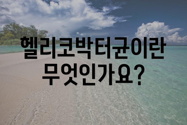 헬리코박터균이란 무엇인가요?
