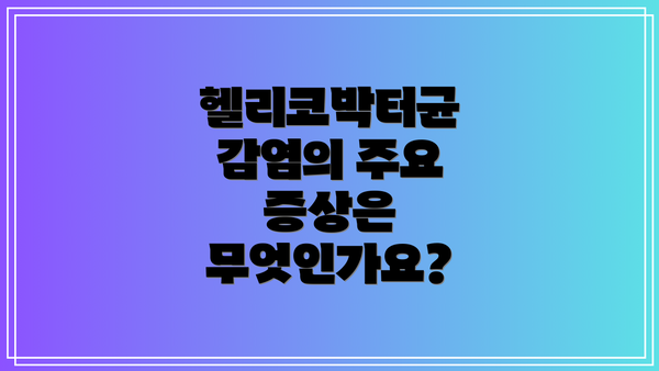 헬리코박터균 감염의 주요 증상은 무엇인가요?