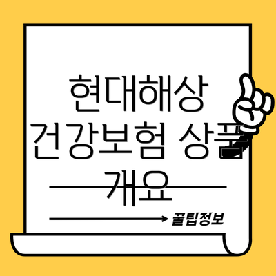 현대해상 건강보험 상품 개요