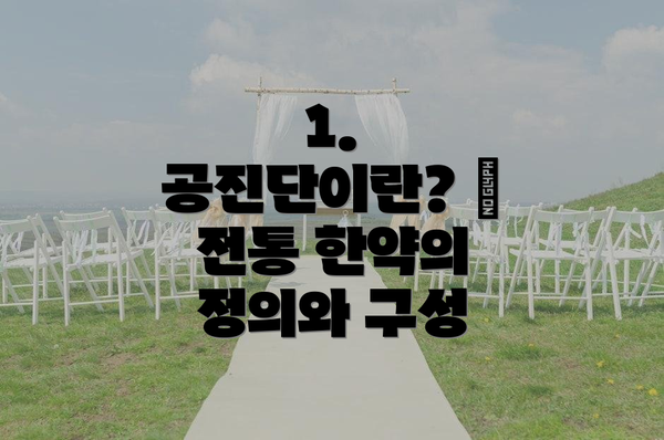 1. 공진단이란? – 전통 한약의 정의와 구성
