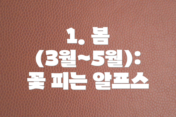 1. 봄 (3월~5월): 꽃 피는 알프스