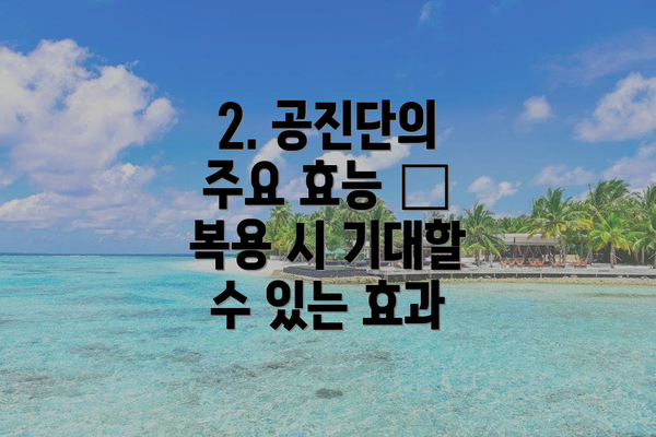 2. 공진단의 주요 효능 – 복용 시 기대할 수 있는 효과