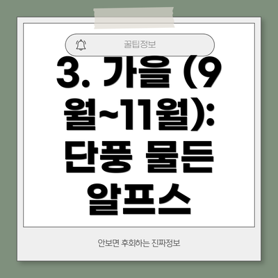 3. 가을 (9월~11월): 단풍 물든 알프스