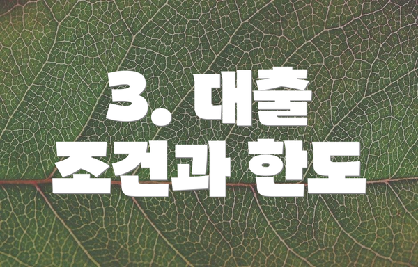 3. 대출 조건과 한도
