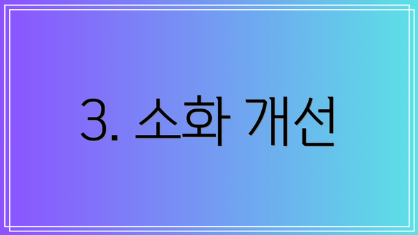 3. 소화 개선