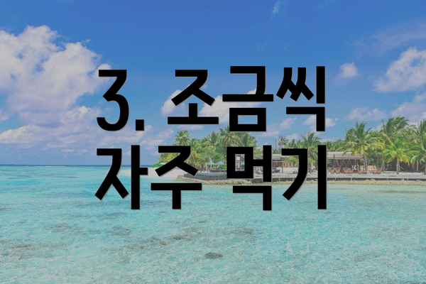 3. 조금씩 자주 먹기