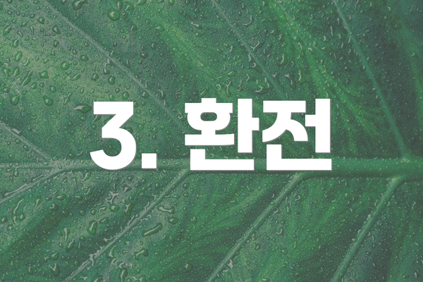 3. 환전